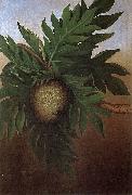 unknow artist Hawaiian Breadfruit, oil on canvas painting by Persis Goodale Thurston Taylor, c. 1890 oil painting reproduction